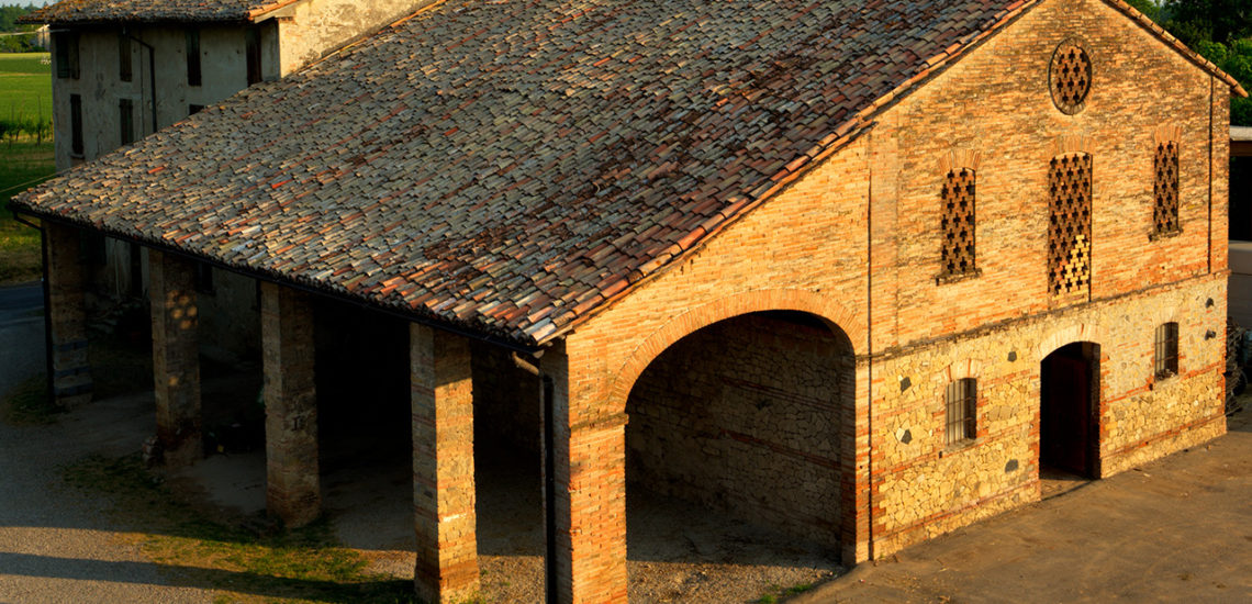 110520_Azienda Agricola Ceresini_324
