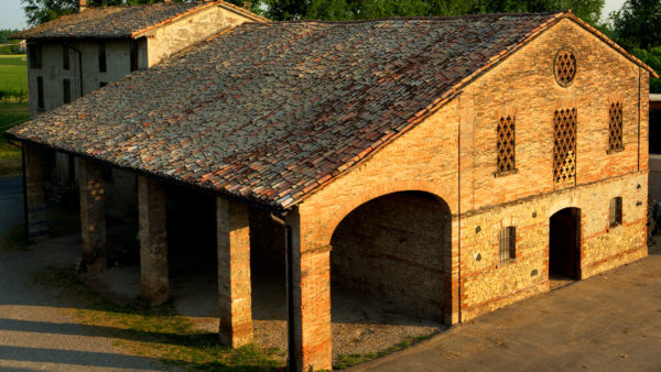 110520_Azienda Agricola Ceresini_324